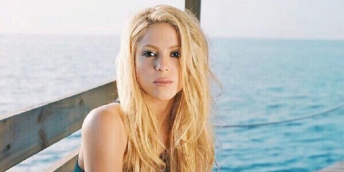  Shakira 