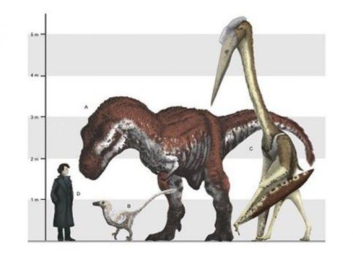 Gambar Dinosaurus Bersayap