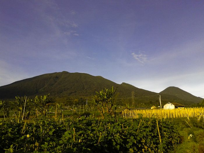 Lagilagi Fenomena Unik di Puncak Gunung Gede, Apa Sebenarnya yang