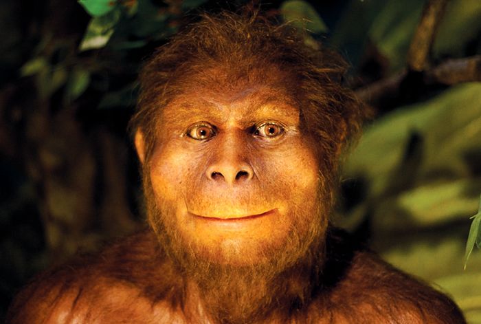 Arkeolog: Manusia Purba Homo Erectus Punah karena Kemalasan Mereka