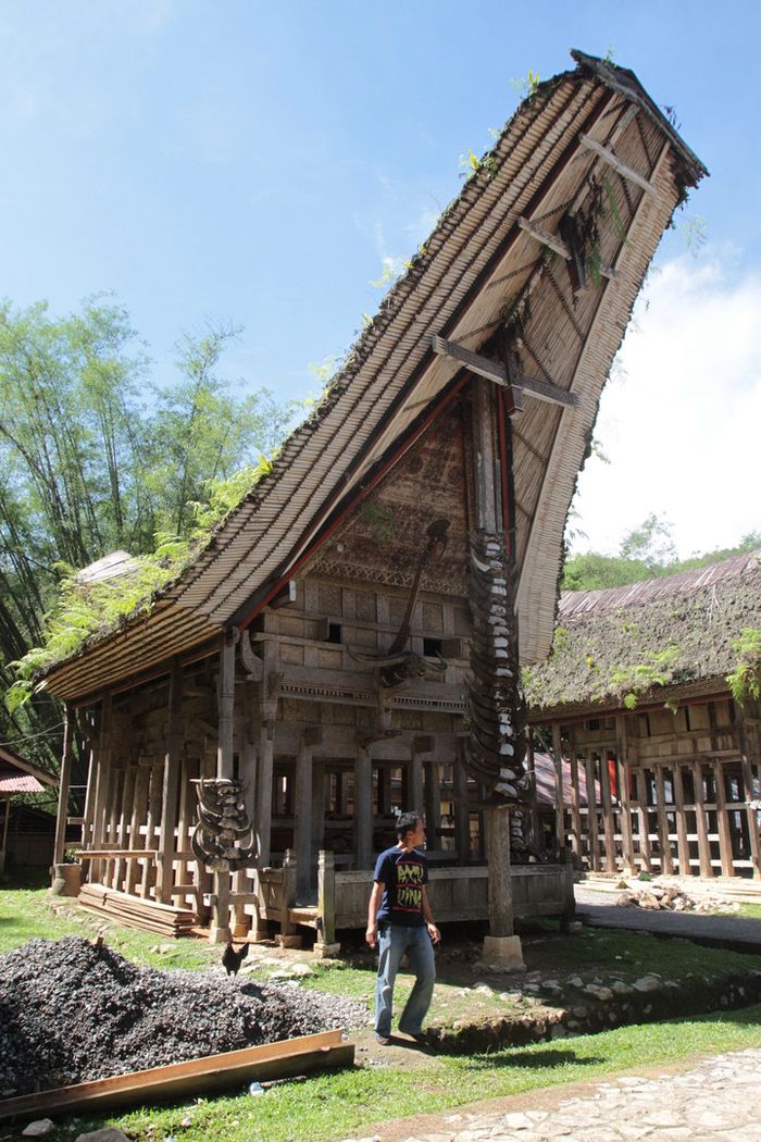 Salah satu rumah adat di Tongkonan Kete' Kesu, Toraja, Sulawesi Selatan. Terdapat enam rumah adat, masing-masing memiliki fungsi dan kedudukan dalam sistem sosial masyarakat Toraja. Banyaknya tanduk kerbau melambangkan lencana atau status sosial dalam masyarakat.