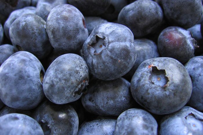 Blueberry, buah buni yang tergolong &lt;i&gt;superfood&lt;/i&gt;, memiliki banyak manfaat untuk kese