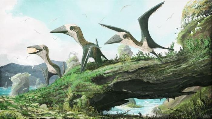 Small pterosaurs lived in the late Cretaceous with birds and large pterosaurs.
