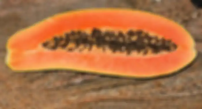 Pepaya