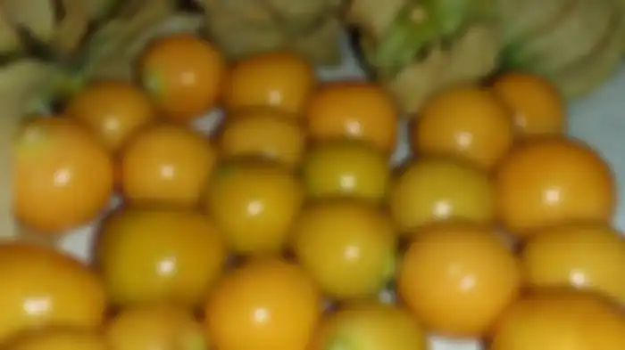 Ceplukan