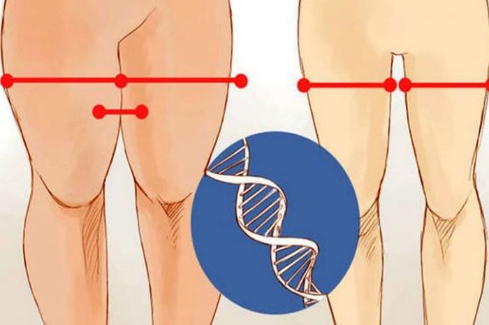 Ingin Kurangi Lemak di Paha? Ini 6 Olahraga yang Harus Anda Lakukan