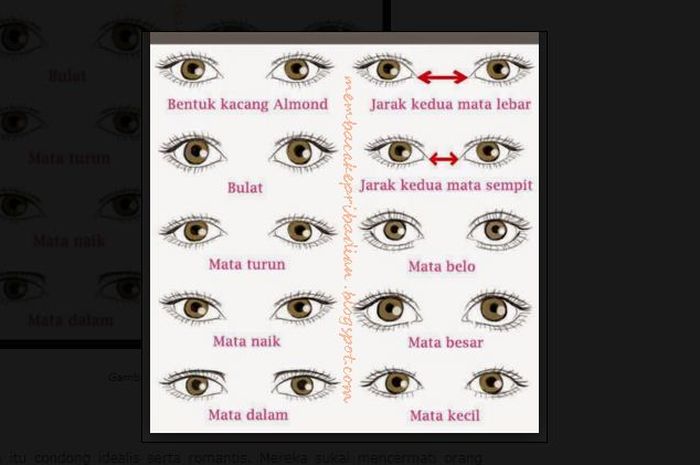 800+ Gambar Bentuk Mata Gratis 800+ Gambar Bentuk Mata Gratis