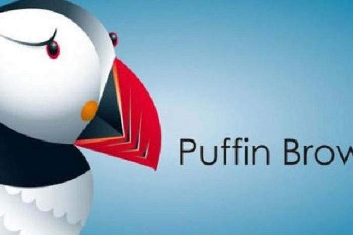 SCARICARE PUFFIN WEB BROWSER