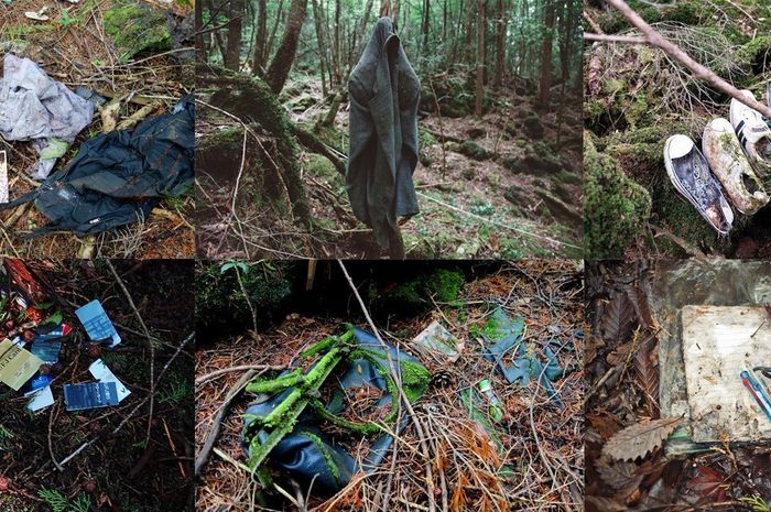440 Koleksi Hantu Hutan HD