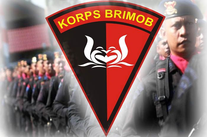 Korps Brimob, Satuan Paramiliter Elit dengan Segudang Pengalaman Tempur