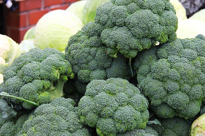  Brokoli  Termasuk Jenis Sayuran Taka Vegetable