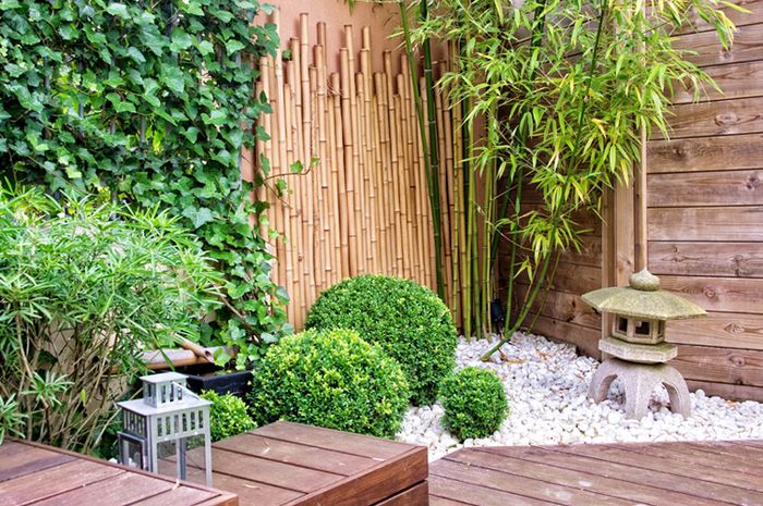 Kenalan Yuk dengan Bambu, Sang Penyejuk Rumah di Area Taman - iDEA