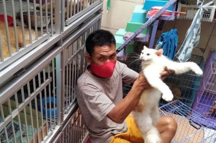 460 Koleksi Semua Gambar Hewan Peliharaan Gratis Terbaru