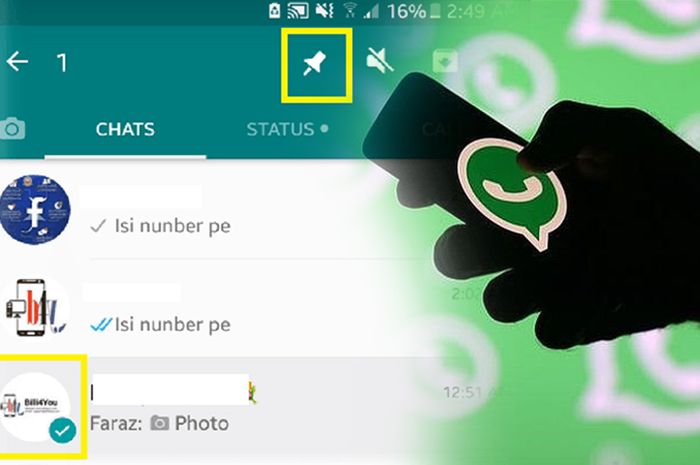 570 Gambar Kolase Ayam Jago HD