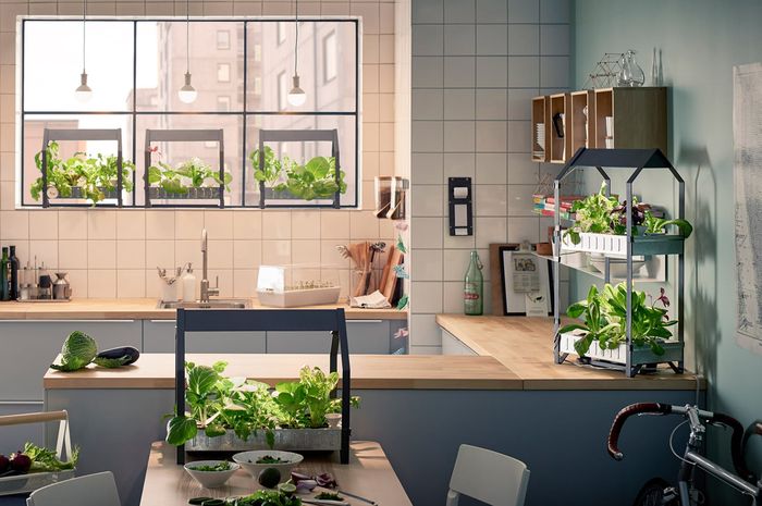 Dapur Modern Nuansa Tropis, Sebelum Bikin Kenali Dulu Karakternya - iDEA