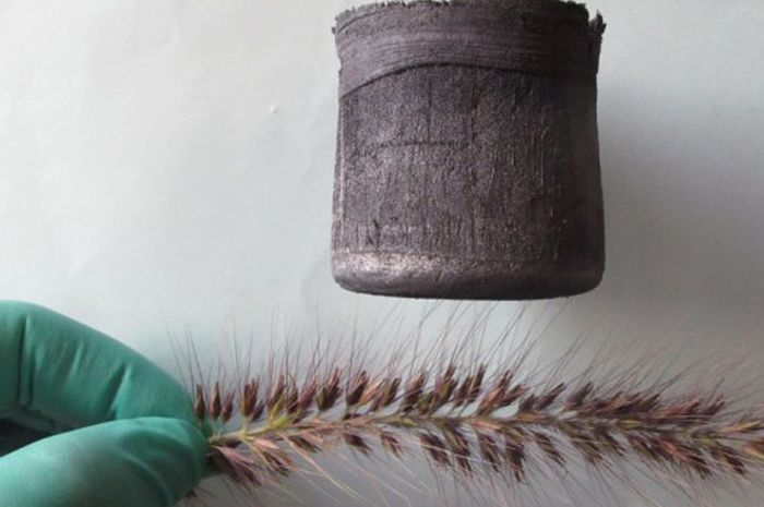 Graphene Aerogel, Benda Padat yang Tujuh Kali Lebih Ringan dari Udara