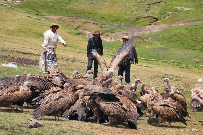 Jhator Ritual Pemakaman Mengerikan Di Tibet Mayat Dibiarkan