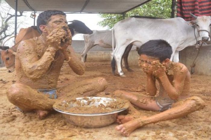 Hermant Paliwal mandi dengan kotoran sapi setiap hari Minggu