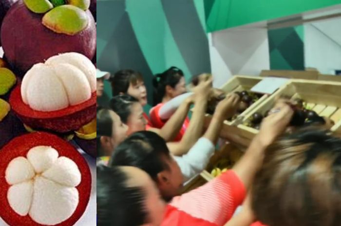 770+ Gambar Kolase Buah Manggis Terbaik