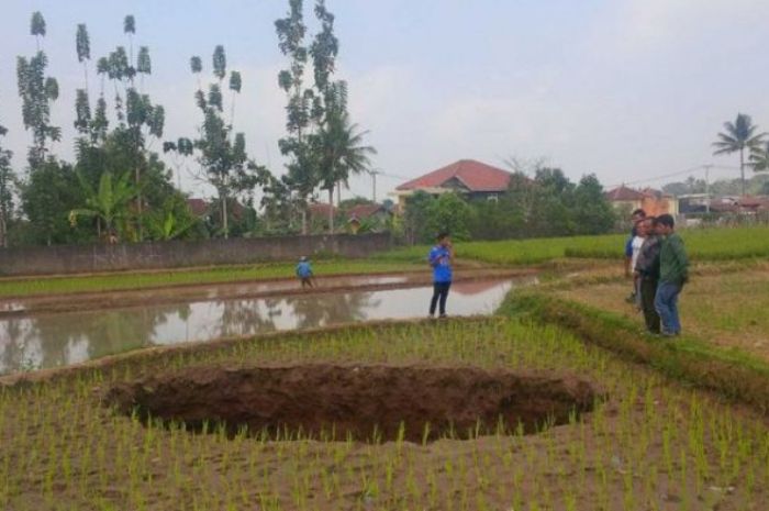 Lubang selebar 6 meter yang tiba-tiba muncul di areal persawahan di Kecamatan Kadudampit, Kabupaten Sukabumi, Jawa Barat