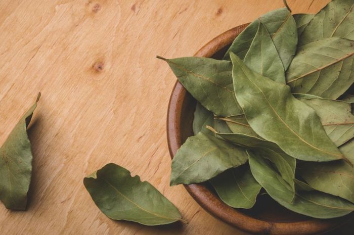 Bakar Daun Salam Dalam Ruangan dan Rasakan 3 Manfaat