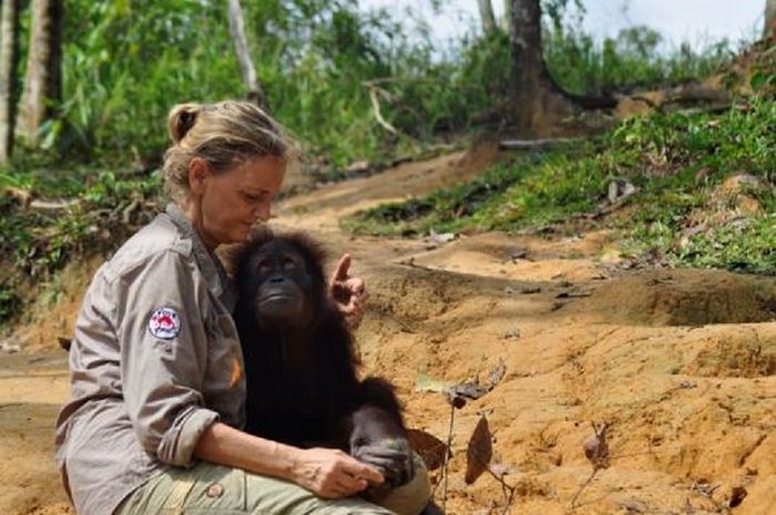 Di Kalimantan, Bayi Orangutan Pergi ke Sekolah, lo! Cari Tahu, yuk! Bobo