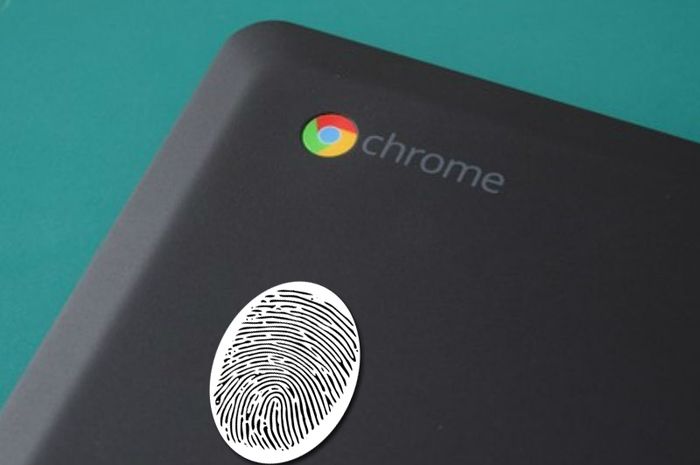 отпечатки пальцев картинки. уникальность человека и отпечатка пальца. отпечаток пальца неповторим. уникальность отпечатков пальцев. Google pay отпечаток пальца.