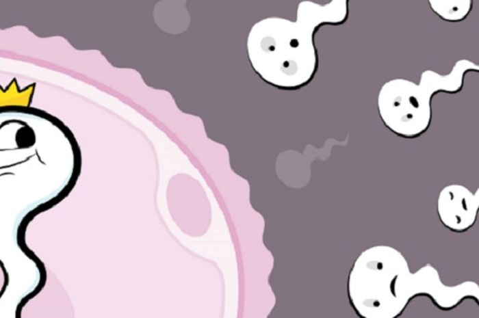 Wajib Dikonsumsi Laki Laki Makanan Ini Buat Sperma Gesit