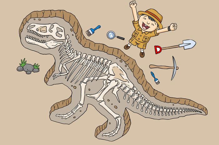 Ingin Meneliti Fosil Hewan Purba? Jadi Ahli Paleontologi 