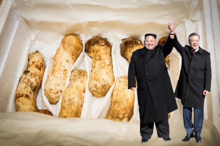 Unduh 8800 Koleksi Gambar Duit Korea Utara Paling Baru Gratis