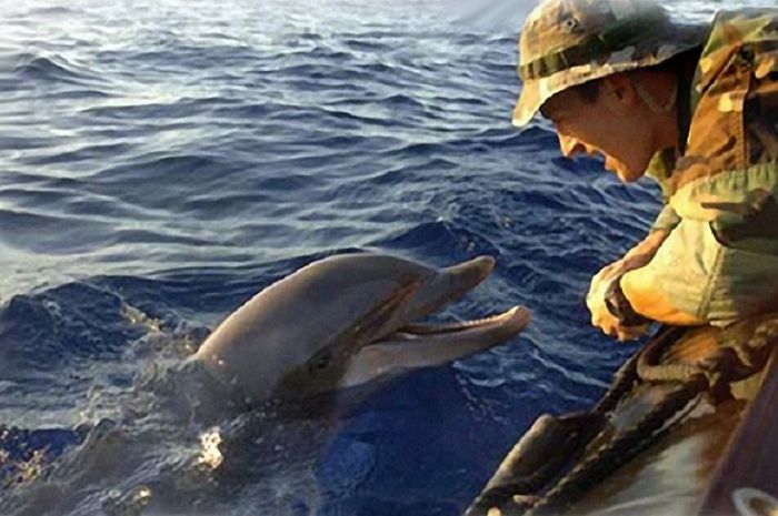 Keren! LumbaLumba dan Singa Laut Ikut Jadi Angkatan Laut, lo! Bobo