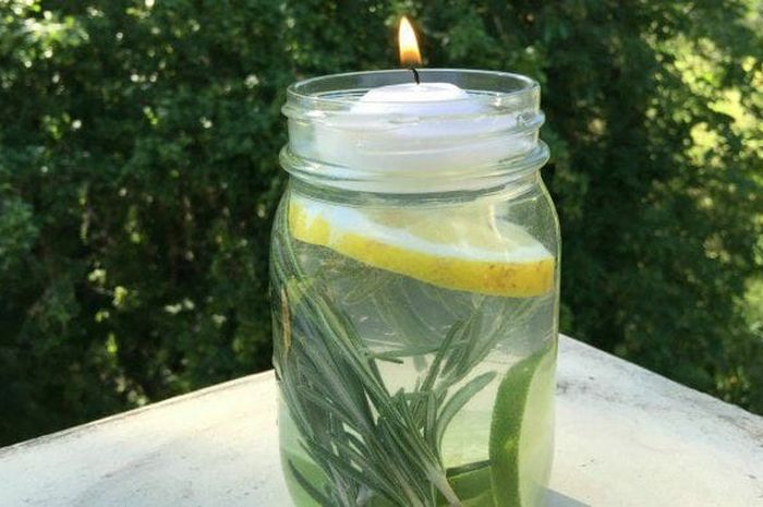 Cara Mengusir Nyamuk Pakai Bahan Alami Dan Menyegarkan Begini Membuatnya Semua Halaman Intisari