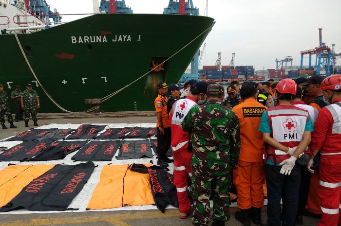 Daftar Nama 27 Penumpang Pesawat Lion Air Jatuh yang Telah Berhasil