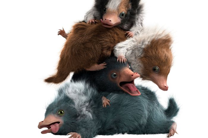 Di Fantastic Beasts 2, Satwa Ajaib Apa Lagi yang Akan Muncul? Bobo