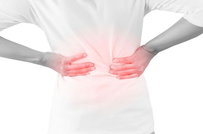 Download 84 Gambar Ginjal Sehat Dan Rusak  Gratis HD