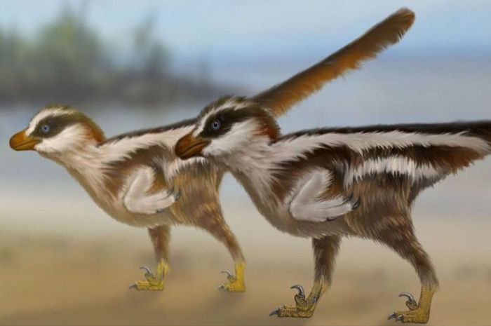 Ahli Paleontologi Kaget Menemukan Jejak Dinosaurus Yang Ukurannya