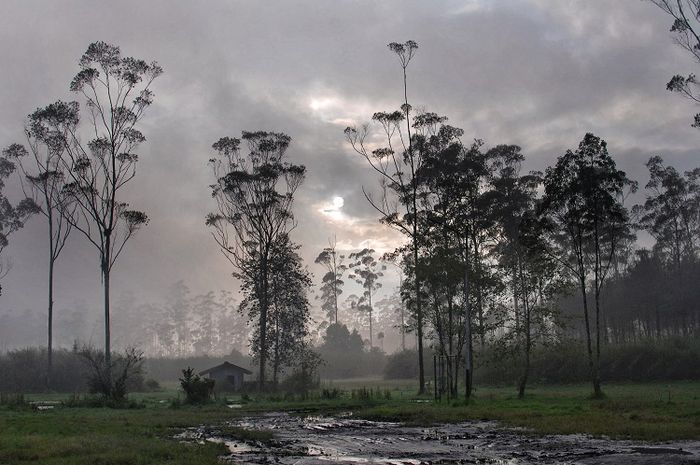 menikmati-kehangatan-keluarga-bersama-kabut-pagi-ranca-upas-intisari