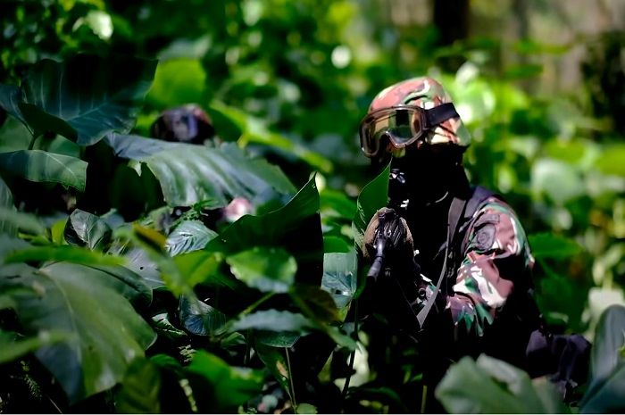 TNI/Polri Bakal Terjunkan Pasukan Ahli Perang Hutan untuk