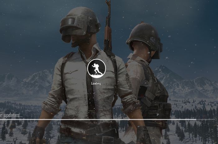 Huawei Y7 Pro (2019) - Loading old PUBG games