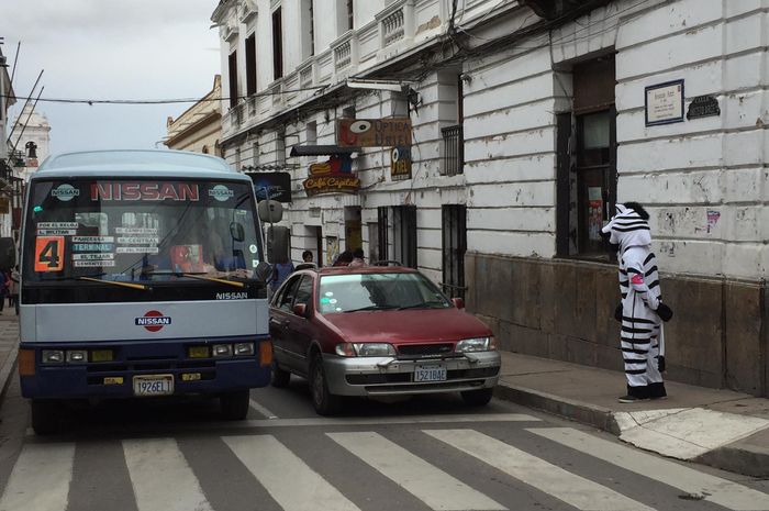 Di Kota Ini, Ada Zebra yang Mengatur Lalu Lintas di Jalan yang Padat