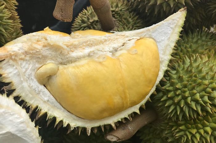 Buah durian