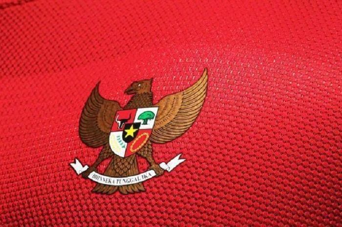 Lambang Garuda di jersey Timnas Indonesia. 