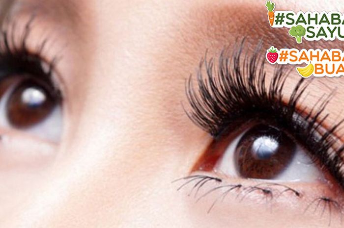 Jadi Semakin Tajam 3 Jenis Jus Ini Bisa Meningkatkan Kesehatan Mata Sahabatbuah Dan Sahabatsayur Semua Halaman Sajian Sedap