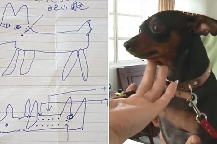 Hebat Seorang Polisi Bisa Menemukan Anjing Yang Hilang Dengan