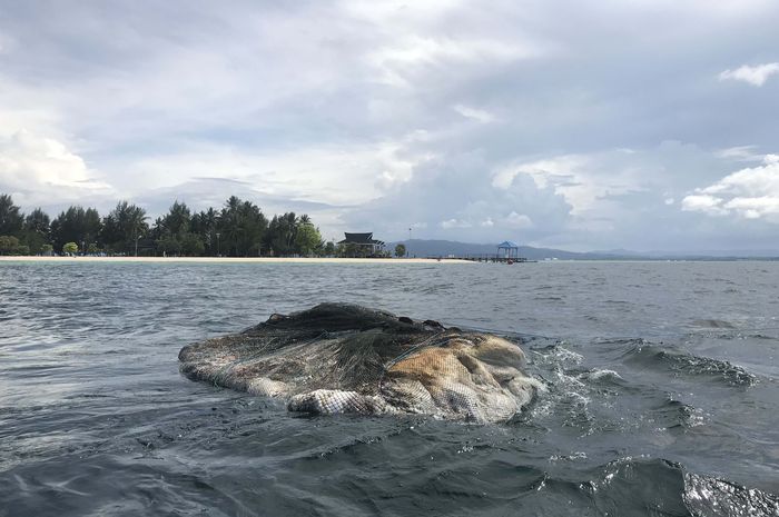 Seekor Paus Ditemukan Membusuk Di Pantai Wisata Pulau Bokori