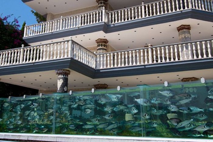65 Desain Aquarium Bertingkat Gratis Terbaru