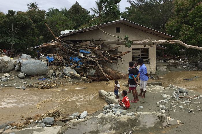 Pohon Besar Ikut Terbawa Banjir Bandang Sentani, Apakah Ada Hutan yang