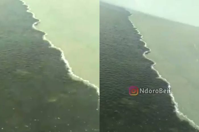 8800 Hantu Jembatan Suramadu HD Terbaik