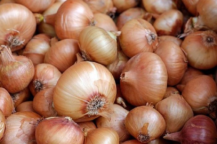 Namanya Bawang Bombai, Apakah Memang Berasal dari Kota di India?  Bobo