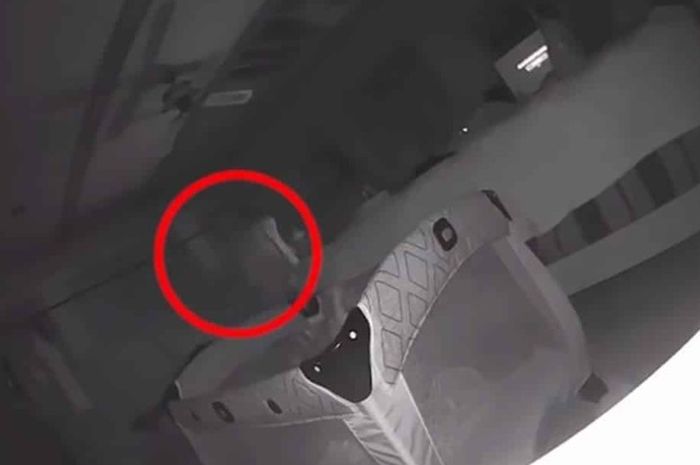 7600 Koleksi Gambar Hantu Lily Terbaik
